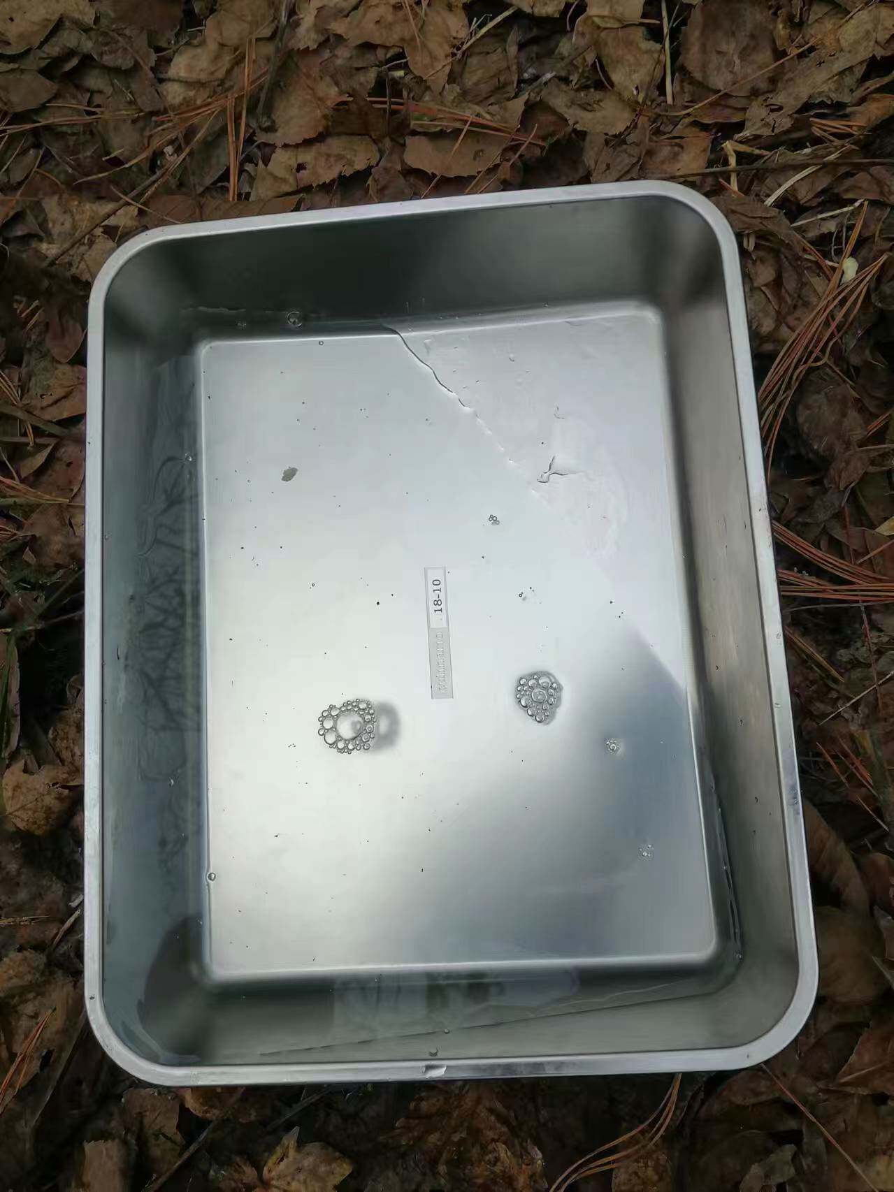核桃枝  核桃皮  核桃汁液 东北长白山 山核桃 抗 偏方专用