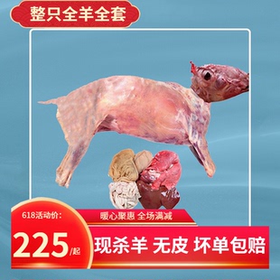白条羊新鲜山羊一只去头郧西马头羊现杀羊全套烧烤火锅食材非内蒙