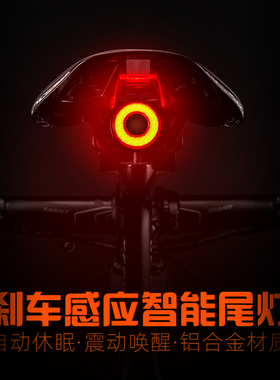 洛克兄弟自行车尾灯智能感应刹车灯骑行装备山地车公路车夜骑尾灯