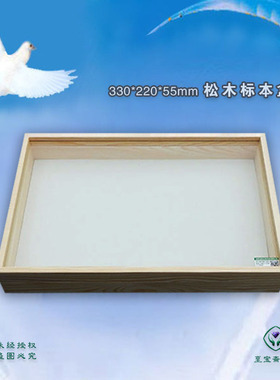 33x22cm厚55实木标本盒 松木展示盒 实验器材 带插针板 可开票