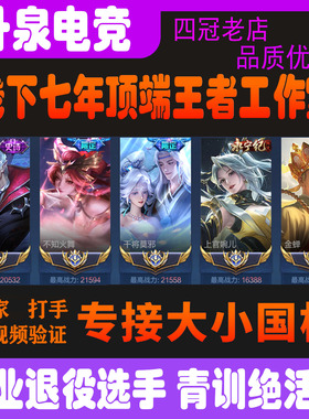 王者荣耀代练大小国标代打排位百星巅峰赛战力省标金市标魔方国服