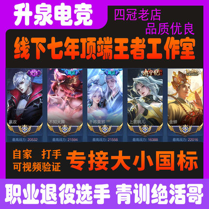 王者荣耀代练大小国标代打排位百星巅峰赛战力省标金市标魔方国服