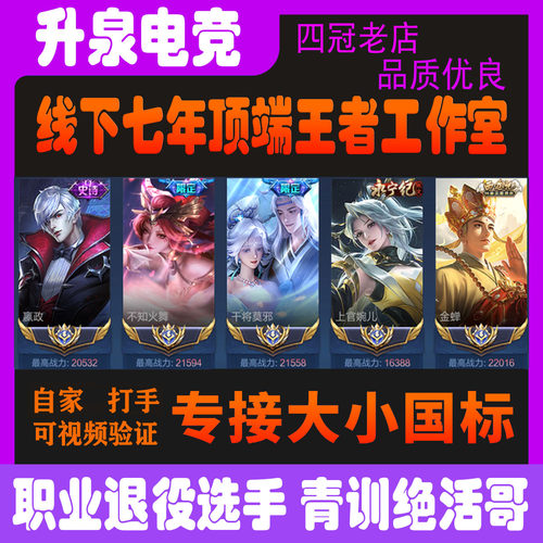 王者荣耀代练大小国标代打排位百星巅峰赛战力省标金市标魔方国服