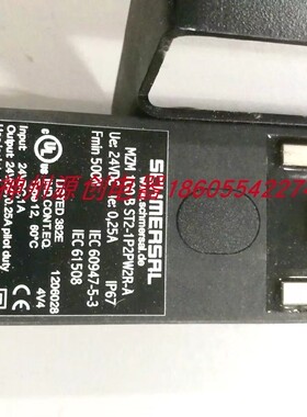 德国SCHMERSRL施迈赛电磁安全门锁开关MZM100 B ST2-1P2PW2R-A