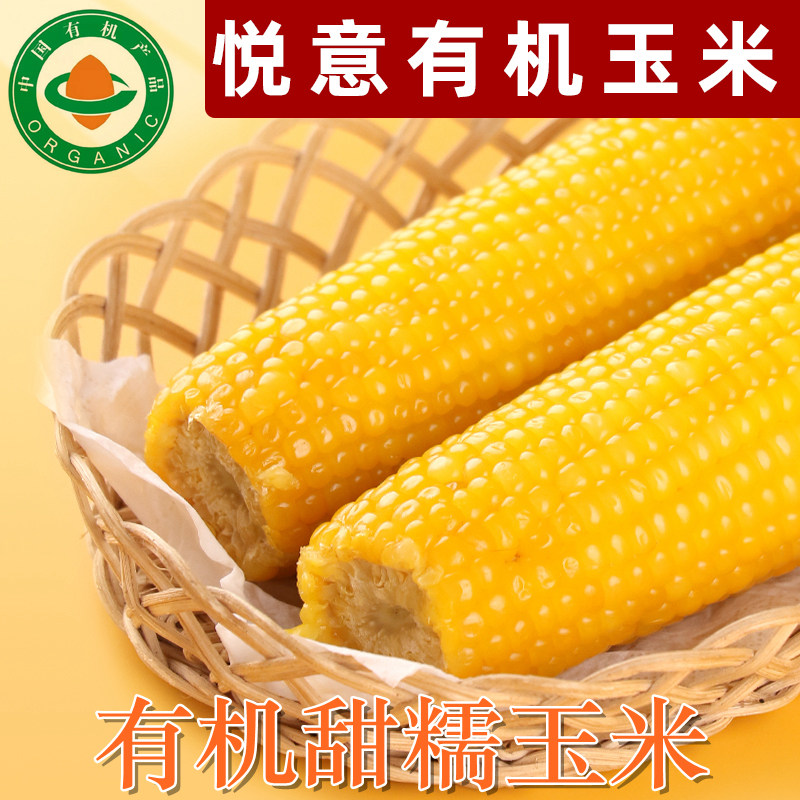 悦意有机玉米纯素玉米黄糯玉米米素食新鲜玉米粘黏甜糯玉米棒真空