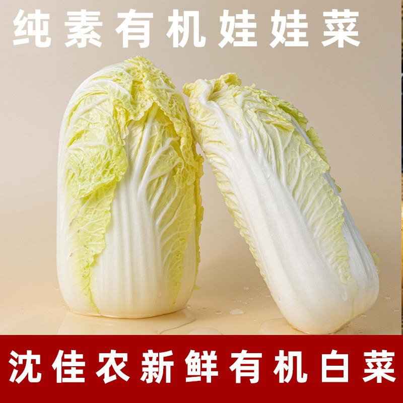 沈佳农有机娃娃菜新鲜蔬菜