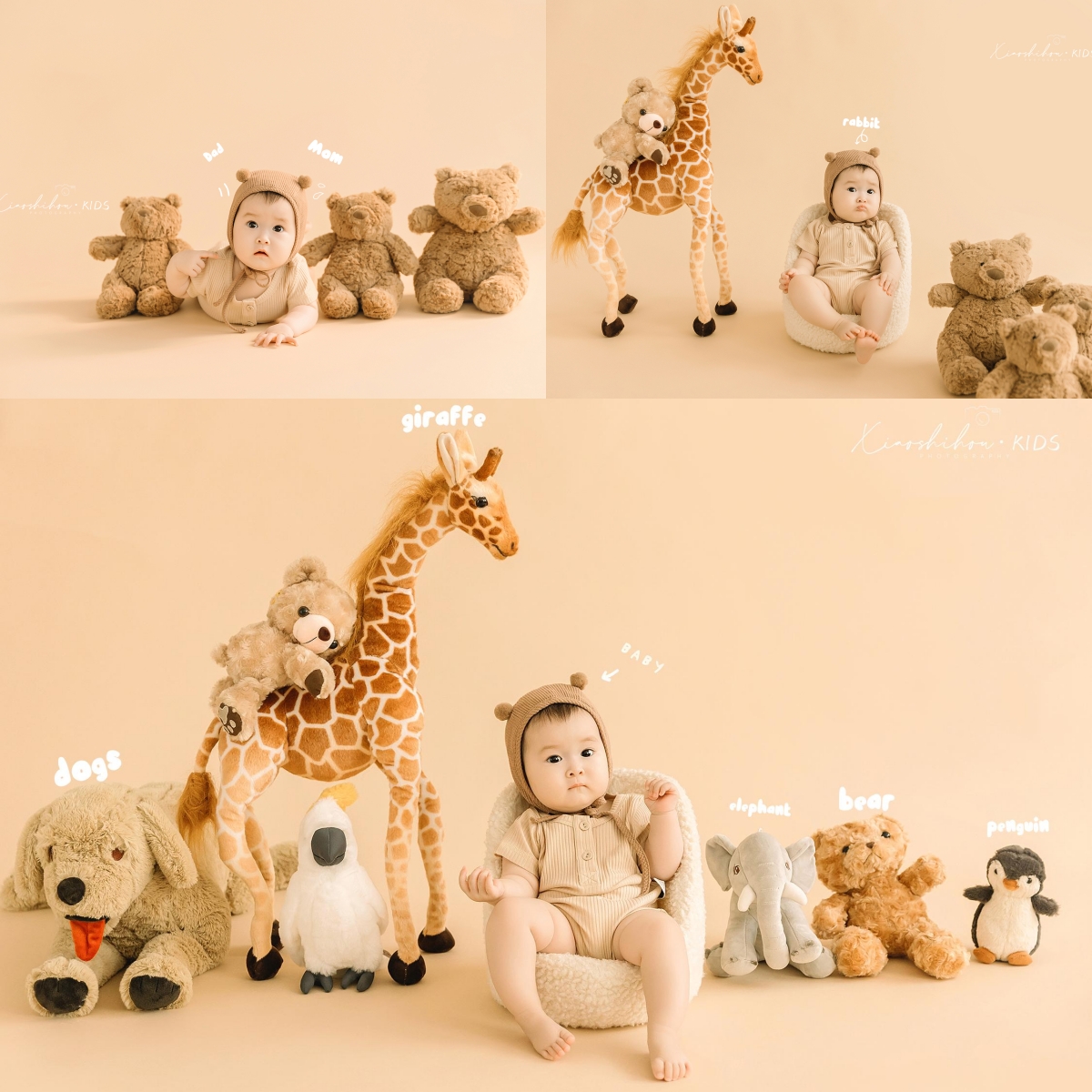 暖白动物园宝宝百天照周岁照服装