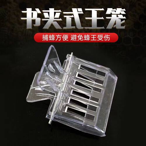 塑料书夹囚王笼蜜蜂王笼中蜂蜂箱