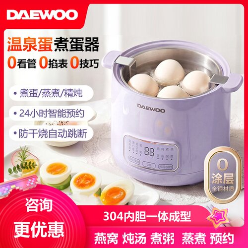 大宇电炖锅煮粥煲汤辅食