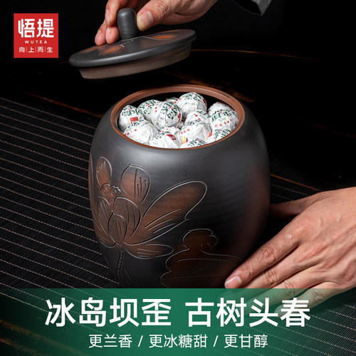 悟提冰岛坝歪龙珠生茶冰糖香甜