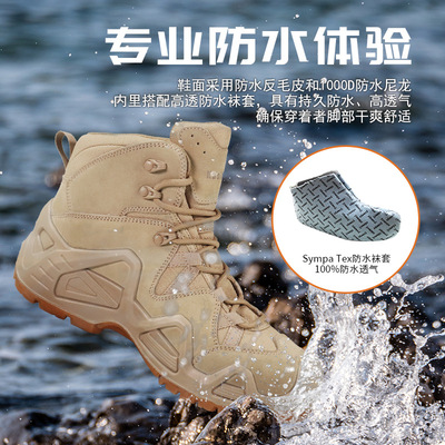 悍戈kasimir户外登山鞋男鞋高帮爬山徒步鞋女防水防滑沙漠战术靴