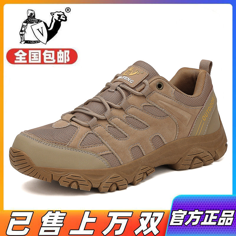春秋季户外登山鞋男款大码休闲图片