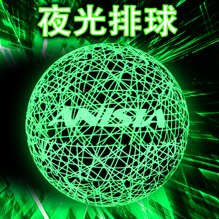 ANISIA 夜光发光荧磨砂感中考专用排球硬排小学生排球训练考试5号