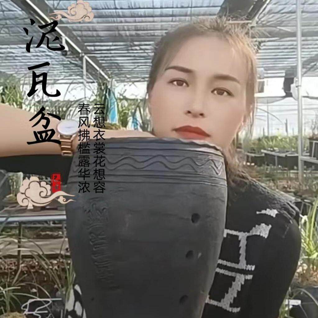 云南大理黑陶泥瓦盆兰花盆腰鼓盆民间传统工艺包邮