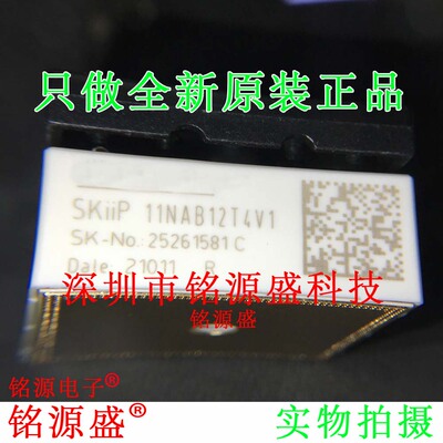 铭源盛 全新原装 SKIIP13AC126V1 13AC126V1 三相桥式逆变器 模块