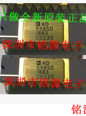 铭源盛 全新原装 AD598SD/883B AD598SD AD598 DIP20 直插 芯片