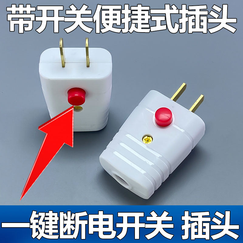 国标电工纯铜10A二极带开关插头电源风扇电动车插头二脚插头接头