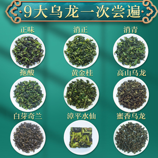 高山乌龙茶组合正宗安溪铁观音兰花香白芽奇兰试喝装 浓香型小泡袋