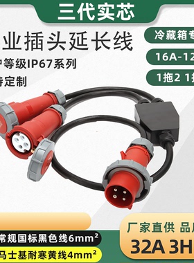 直销冷藏集装箱插头插座一分二延长线分线带线32A3H三相四线IP67