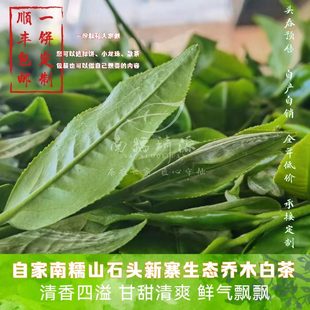 2022年头春茶农自产生态乔木白茶南糯山石头新寨云南勐海大叶种