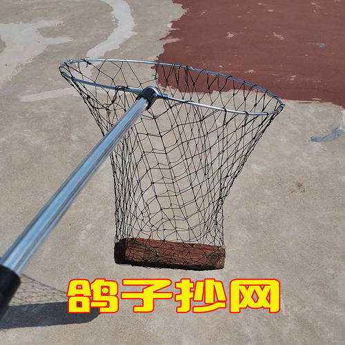 鸽子用具用品活体网信鸽天落抄网