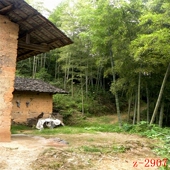 主播直播背景布山村竹林农家院山水风景直播摄影挂画布3d立体表演