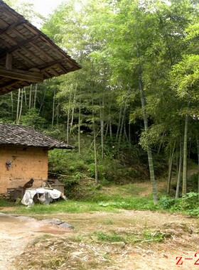 主播直播背景布山村竹林农家院山水风景直播摄影挂画布3d立体表演