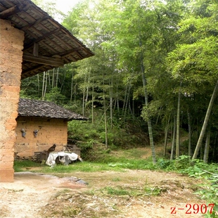 主播直播背景布山村竹林农家院山水风景直播摄影挂画布3d立体表演