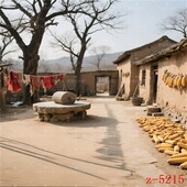 新款 风景直播间背景 主播直播背景布80年代怀旧复古农村农家院秋季