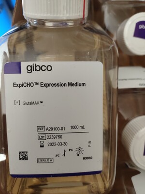 Gibco ExpiCHO 表达培养基A2910001/02