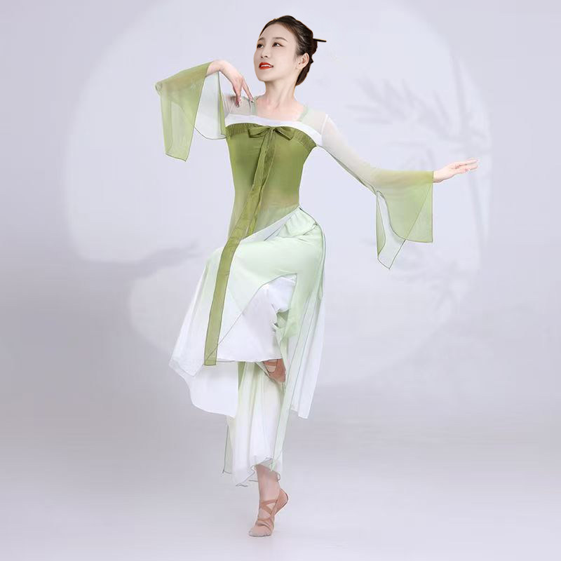 古典舞蹈服女飘逸渐变色纱裙练功服演出裤中国风汉唐服装