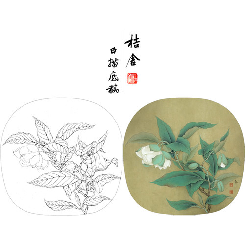 【有步骤、大彩图】李晓明工笔画白描底稿《夜合花图》KL14