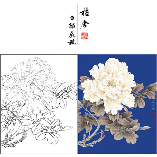 【有步骤、大彩图】李晓明工笔画白描底稿牡丹小品《羊脂白》KD42