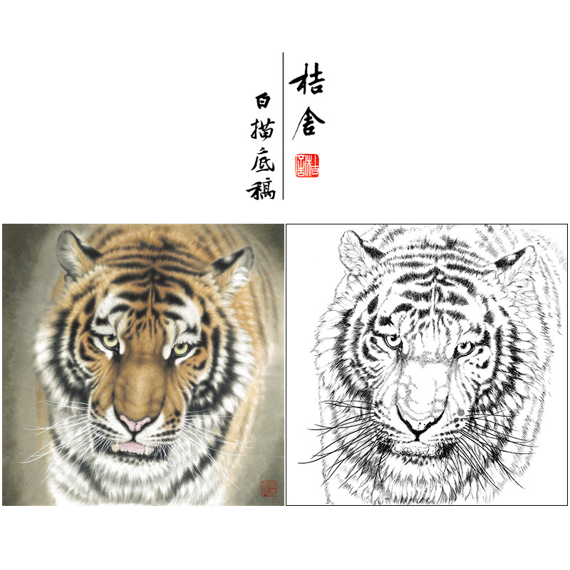 【大彩图】孟祥顺工笔画白描底稿斗方《老虎头》临摹动物线稿a641