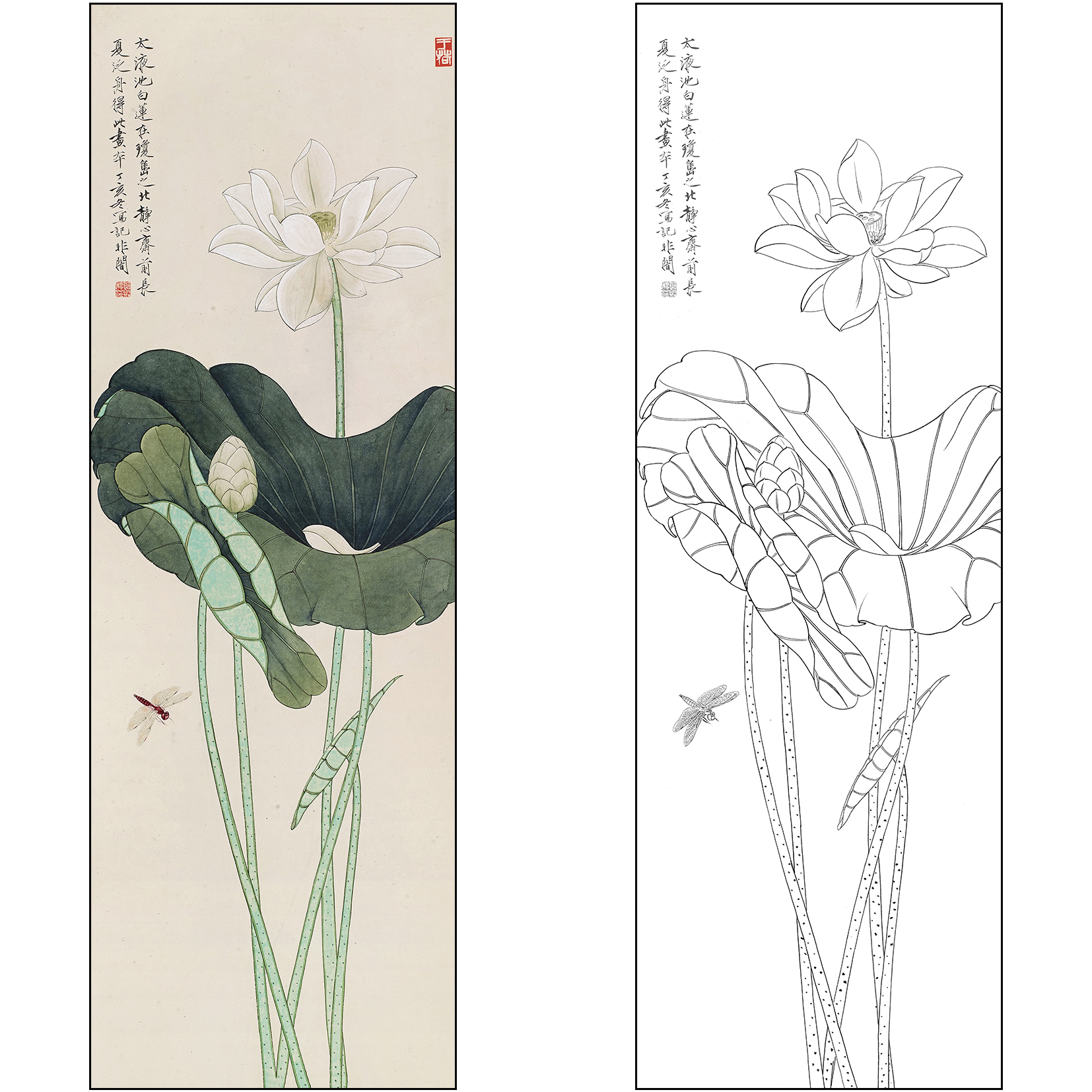 工笔画白描底稿于非闇花鸟荷花《荷花蜻蜓》临摹高清打印稿FA48