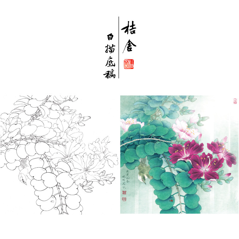 【有步骤,大彩图】李晓明工笔画白描底稿斗方《绣眼紫荆花》kb30