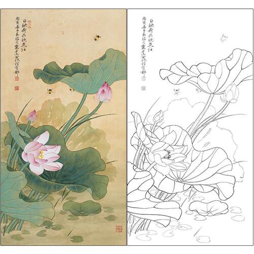 俞致贞花鸟工笔画白描底稿《日映荷花晚更红》临摹高清打印稿ZZ19