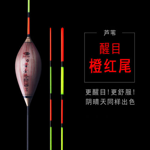 黄金眼池海正品官方芦苇鱼漂