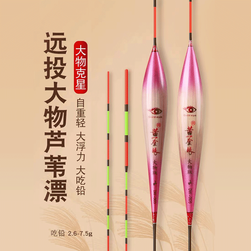 黄金眼大物芦苇漂加粗醒目鱼漂60/70cm湖库加长行程翘嘴鲢鳙浮漂,户外/登山/野营/旅行用品,浮漂,淘宝优惠券,粉丝福利购,淘宝优惠卷