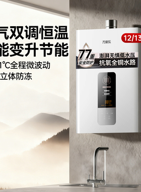 万家乐DP1燃气热水器家用12L壁挂T天然液化气13恒温强排式16升P3