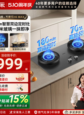万家乐H6MAX双边定时燃气灶家用双灶天然气液化气台嵌入式炉灶AY9