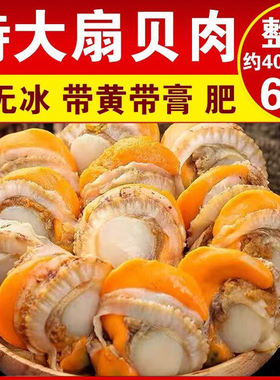 新鲜熟冻扇贝肉特级大号海鲜冷冻蒜蓉扇贝粉丝贝商用批发烧烤食材
