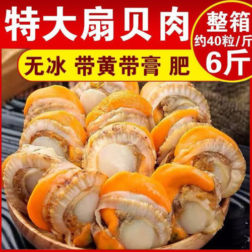 新鲜熟冻扇贝肉特级大号海鲜冷冻蒜蓉扇贝粉丝贝商用批发烧烤食材