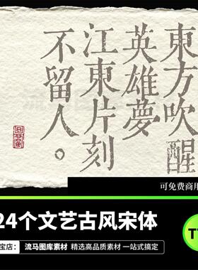 24款文艺古风宋体字体包海报可商用中文AI/PS字体库支持winmac