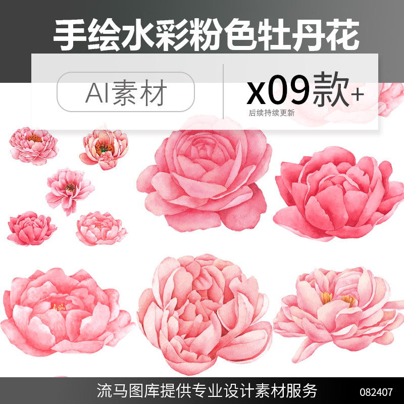 手绘水彩粉色牡丹花花卉花朵免扣png高清ai矢量平面设计素材图集