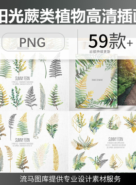 阳光蕨类植物小清新绿色手绘树叶边框插画PNG高清免扣设计素材图