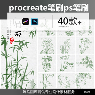 中国风水墨国画竹子古风意境手绘插画剪影ps procreate笔刷素材