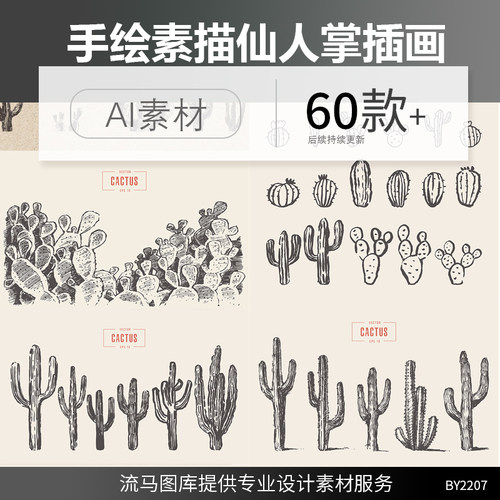 60款创意手绘仙人掌铅笔素描黑白风格插画插图AI矢量平面设计素材