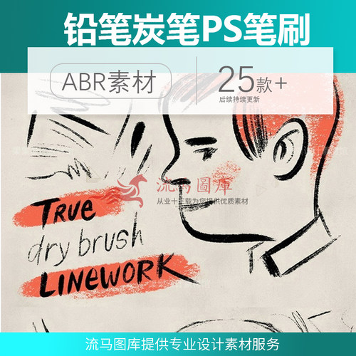 干画干蹭铅笔炭笔绘画插画手绘素描速写笔画笔预设PS笔刷设计素材