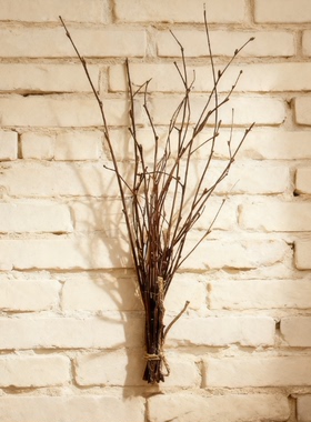桦树枝天然干树枝带叉枝条室内摆设擦花装饰家居文艺拍摄道具装饰